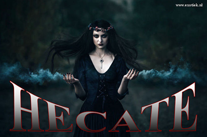 Hecate | WEBWINKEL EXOTIEK